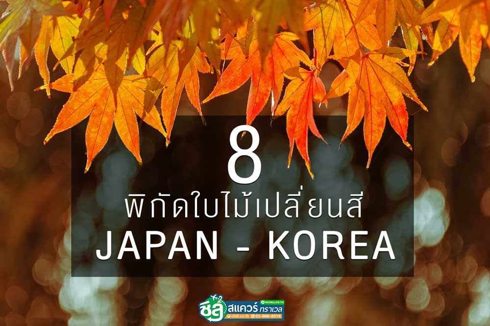 8 พิกัดใบไม้เปลี่ยนสี JAPAN-KOREA