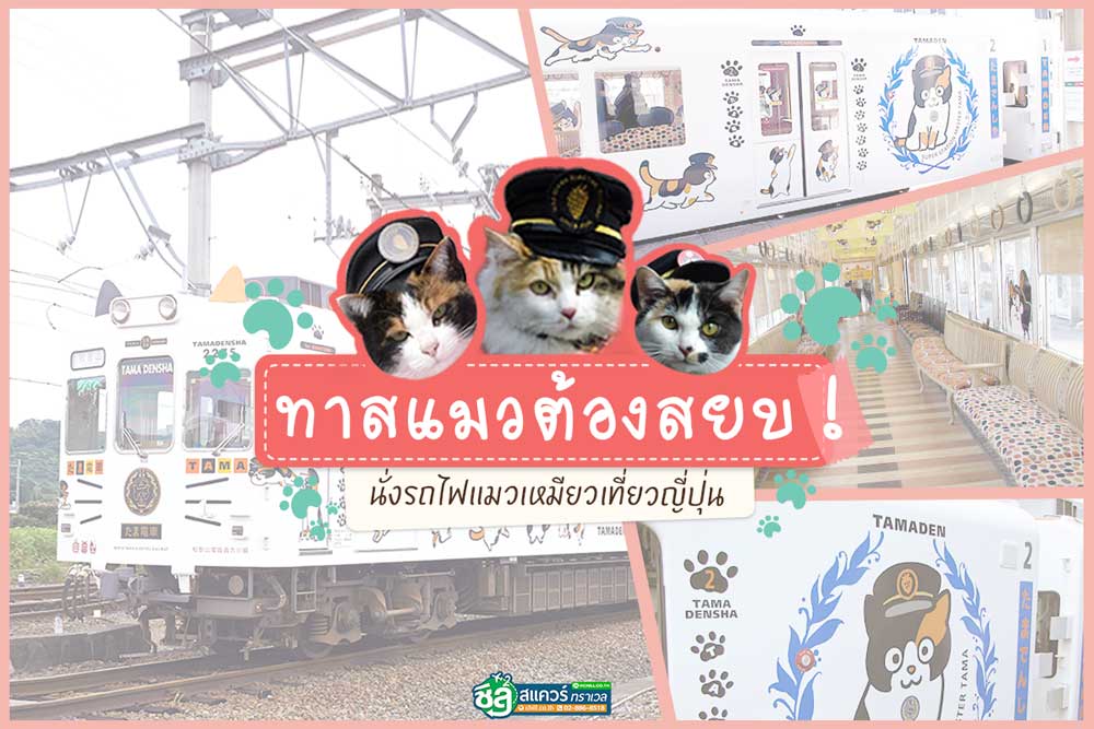 ทาสแมวต้องยอมสยบ ! นั่งรถไฟแมวเหมียวทัวร์ญี่ปุ่น