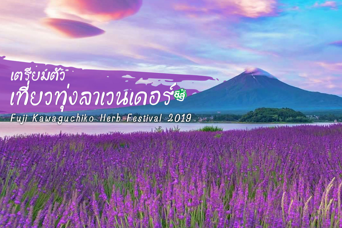 ตอบ 3 คำถามคาใจ ก่อนออกเที่ยวทุ่งลาเวนเดอร์ ญี่ปุ่น Fuji Kawaguchiko Herb Festival 2019