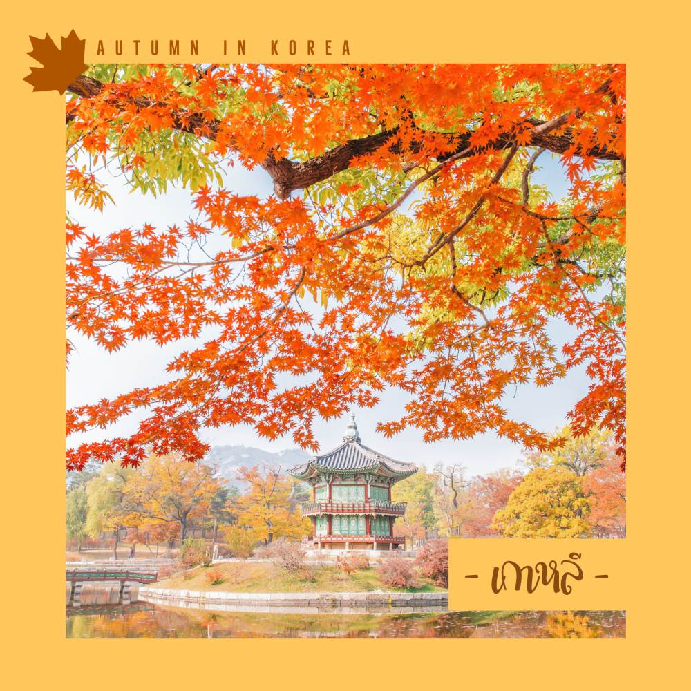 Autumn in Korea